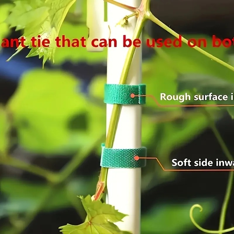 Groene plantenband met klitten - Cable Velcro Strap recensie en prijs