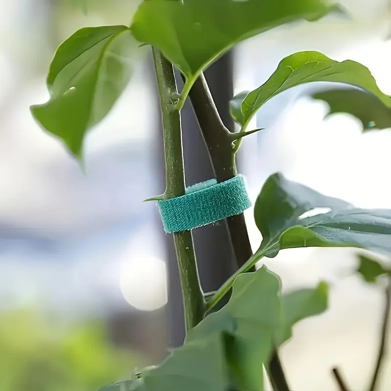 Groene plantenband met klitten - Cable Velcro Strap recensie en prijs